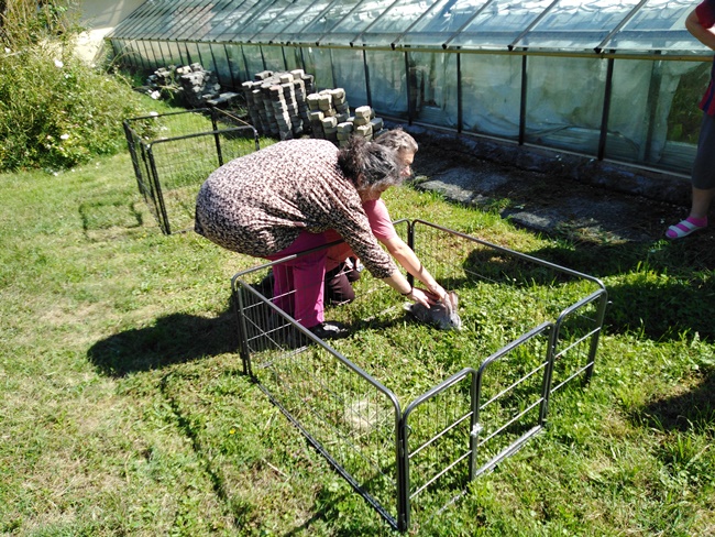 Vadudvar rendezvény