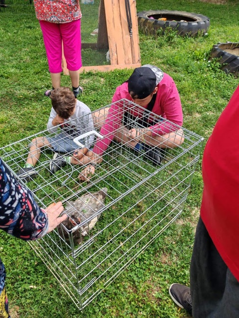 Vadudvar rendezvény